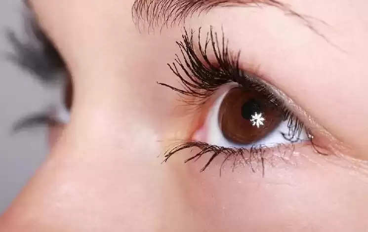 आंखों की बीमार‍ियों से बचने के ल‍िए समय-समय पर आंखों की जांच कराते रहना चाह‍िए।