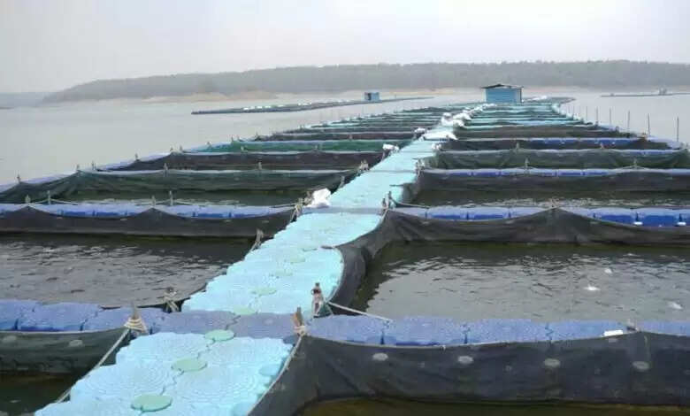 रायपुर : छत्तीसगढ़ के कोरबा जिले में बनेगा राज्य का पहला एक्वा पार्क
