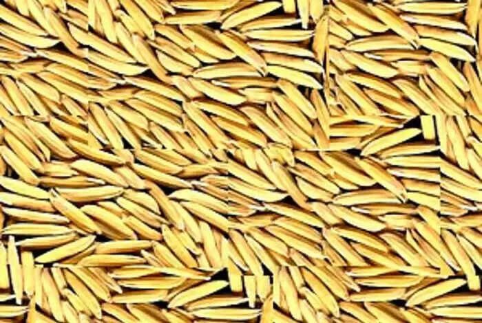 जबलपुर में करीब 5 करोड़ रुपए की धान गायब, 22 लोगों के खिलाफ FIR