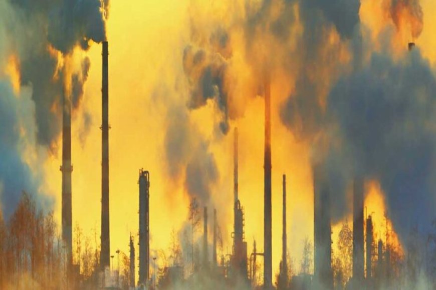 cse-की-चेतावनी-अगर-समय-रहते-प्रदूषण-पर-कार्रवाई-नहीं-की-गई,-तो-यह-स्वास्थ्य-और-खेती-पर-गहरा-असर-डालेगा