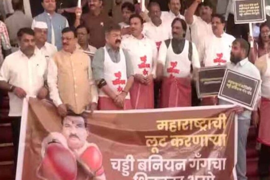 mva-विधायकों-का-अजीबो-गरीब-प्रदर्शन:-बनियान-तौलिया-पहनकर-पहुंचे-विधानसभा