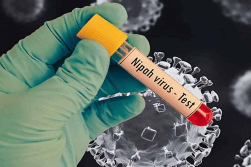 निपाह वायरस से निपटने को केरल तैयार, राजन खोबरागड़े ने बताया प्लान