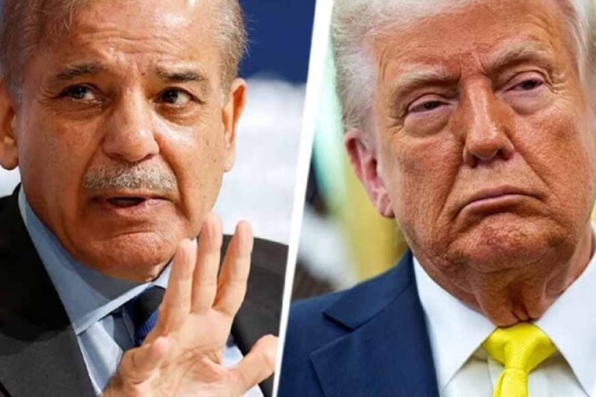 टैरिफ-की-मार-से-हिला-पाकिस्तान,-अमेरिकी-दौरे-पर-पहुंचे-मंत्री-–-क्या-बनी-बात?