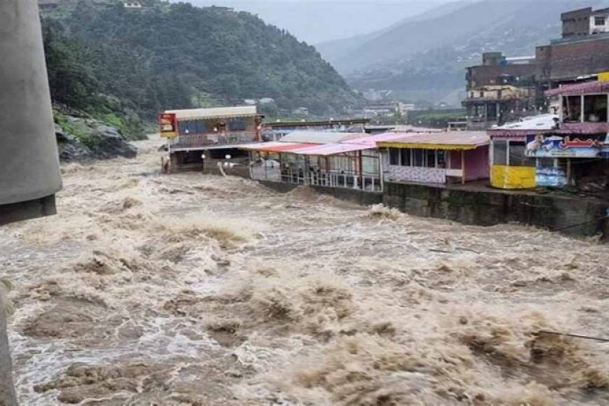 पाकिस्तान-में-मानसून-का-कहर:-बाढ़-और-बारिश-से-116-लोगों-की-जान-गई