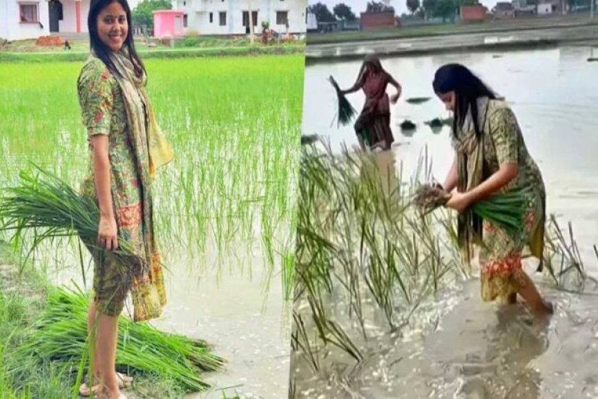 सांसद-से-किसान-बनीं-प्रिया-सरोज,-सहेलियों-संग-खेत-में-की-धान-रोपाई