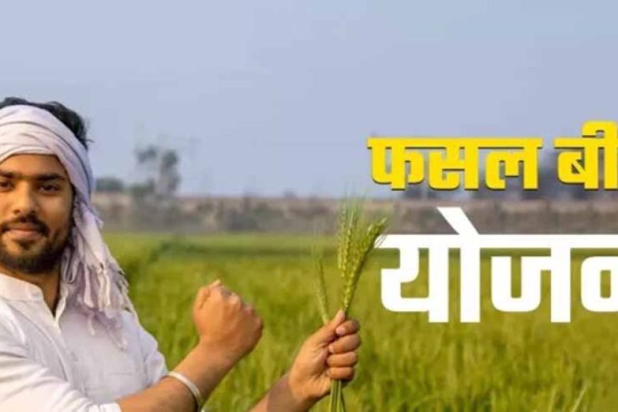 31-जुलाई-आखिरी-मौका:-खरीफ-फसलों-का-बीमा-नहीं-कराया-तो-होगा-भारी-नुकसान