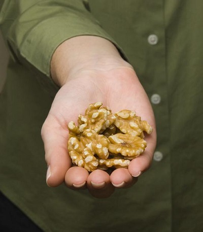 walnuts-among-omega-3-foods-linked-to-brain-development-benefits-in-children-and-adolescents