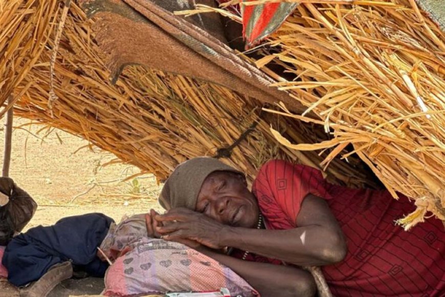 भूख-से-तड़पते-सूडान-में-इंसानियत-कर-रही-संघर्ष:-कोयला-चूसकर-बचा-रहे-जान