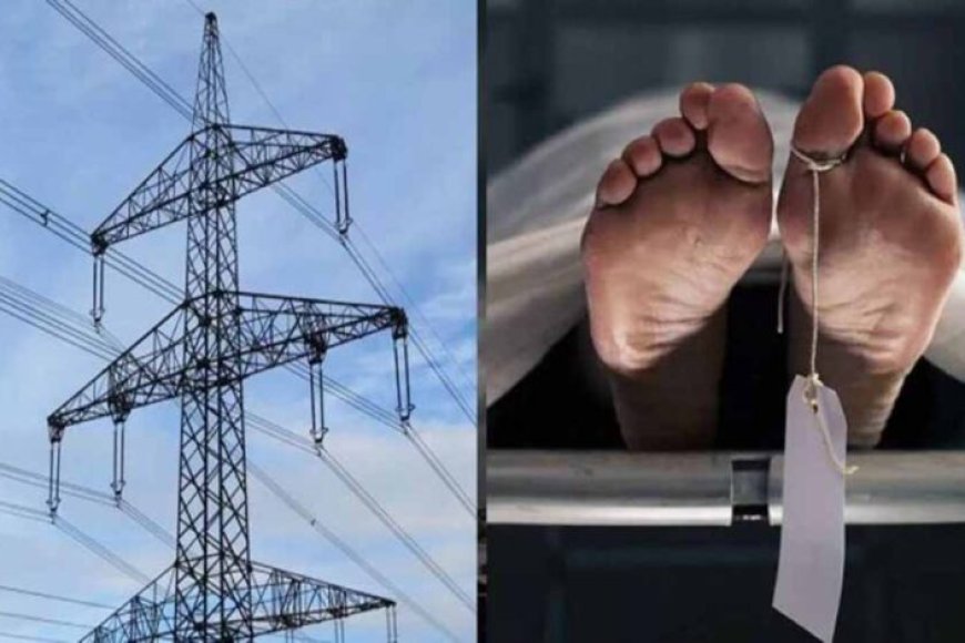 हाईटेंशन-तार-बना-मौत-का-फंदा:-मां-बेटे-की-मौके-पर-ही-दर्दनाक-मौत