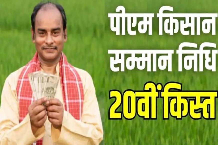 पीएम-किसान-सम्मान-निधि-योजना-में-यूपी-के-5-लाख-किसान-वेर‍िफ‍िकेशन-ड्राइव-में-अपात्र-पाए,अब-होगी-वसूली