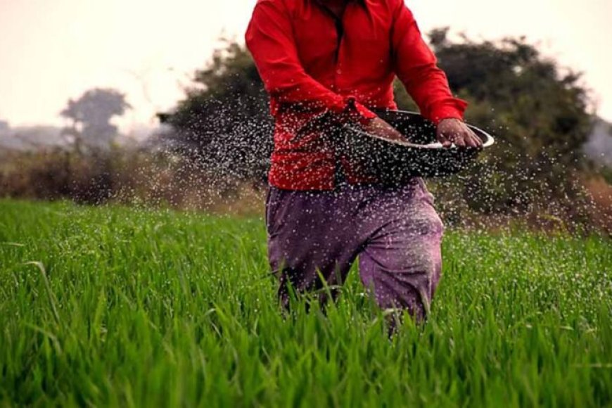 पीएम-किसान-योजना:-20वीं-किस्त-कब-आएगी?-जानें-ई-केवाईसी-की-प्रक्रिया