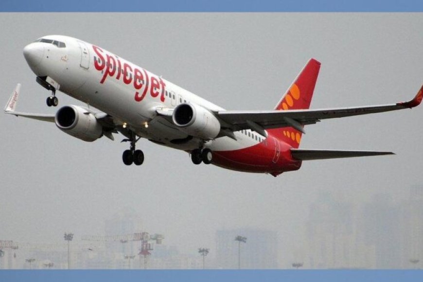 स्पाइसजेट-के-चार-कर्मचारियों-पर-यात्री-का-बर्बर-हमला,-एक-की-रीढ़-की-हड्डी-टूटी:-एयरलाइन-का-दावा