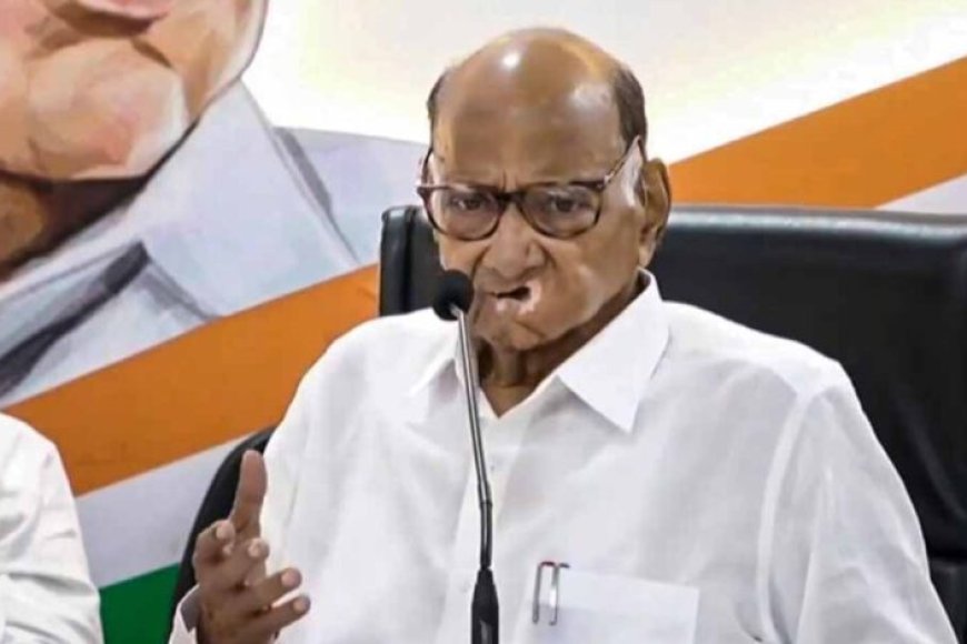 निकाय-चुनाव-बैलेट-पेपर-से-कराने-की-मांग-तेज़,-शरद-पवार-की-पार्टी-के-साथ-उद्धव-ठाकरे-भी-आए-आगे