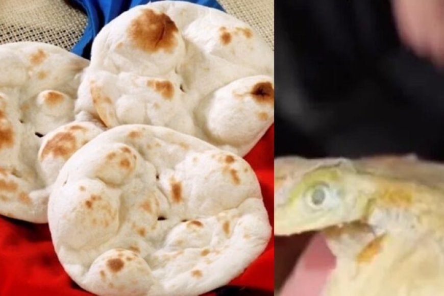 कानपुर-के-ढाबे-में-मिली-छिपकली-वाली-तंदूरी-रोटी,-ग्राहक-हुए-परेशान
