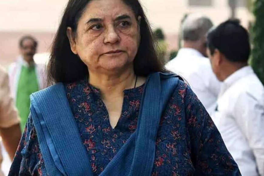 आवारा-कुत्तों-पर-sc-के-आदेश-से-नाराज-मेनका-गांधी,-बोलीं-गुस्से-में-लिया-गया-फैसला