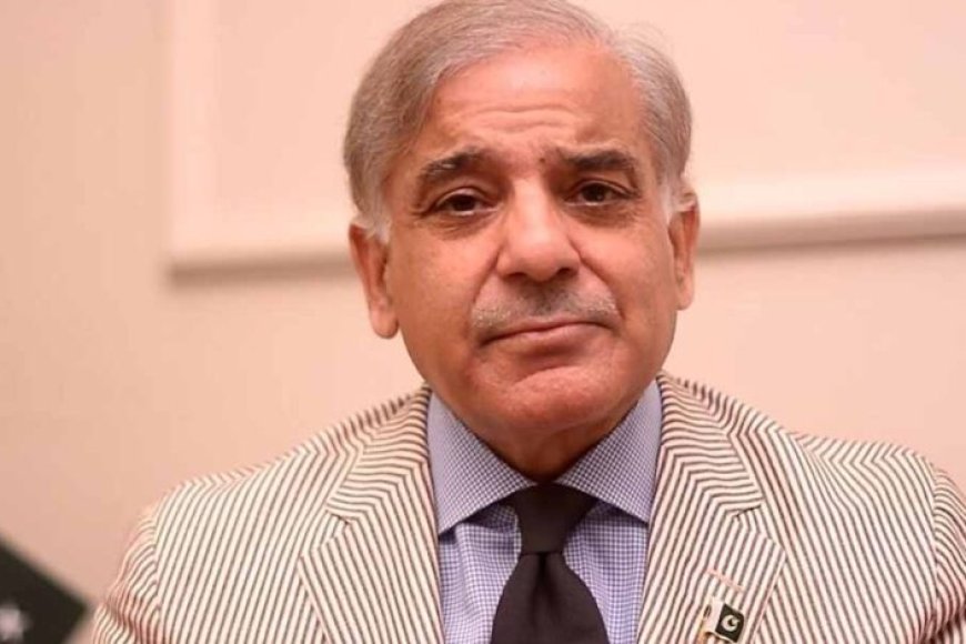 ‘भारत-एक-बूंद-पानी-नहीं-छीन-सकता…’-:-मुनीर-भुट्टो-के-बाद-pak-पीएम-शहबाज-शरीफ-की-नई-धमकी