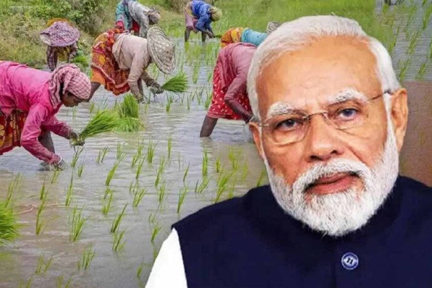 किसानों-ने-सराहा-pm-मोदी-का-निर्णय,-कृषि-बाज़ार-बचाने-के-लिए-धन्यवाद