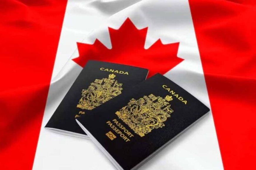 खुशखबरी:-कनाडा-में-बसने-का-सपना-भारतीयों-के-लिए-जल्द-होगा-सच,-नई-इमिग्रेशन-स्कीम-लॉन्च