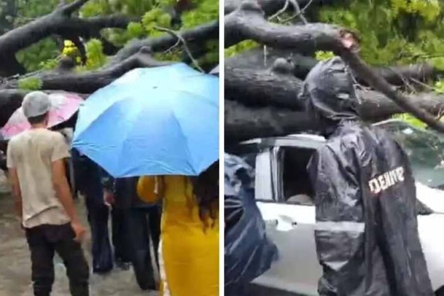 मूसलाधार-बारिश-से-दिल्ली-बेहाल:-कालकाजी-में-पेड़-गिरने-से-मौत,-सड़कों-पर-जलभराव-व-जाम