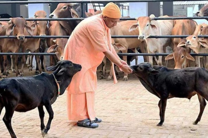 सीएम-योगी-के-नेतृत्व-में-गो-सेवा-से-तरक्की-करेगा-यूपी