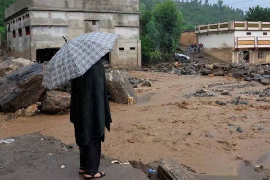 पाकिस्तान-में-मूसलाधार-बारिश-का-कहर,-657-से-अधिक-लोगों-की-मौत