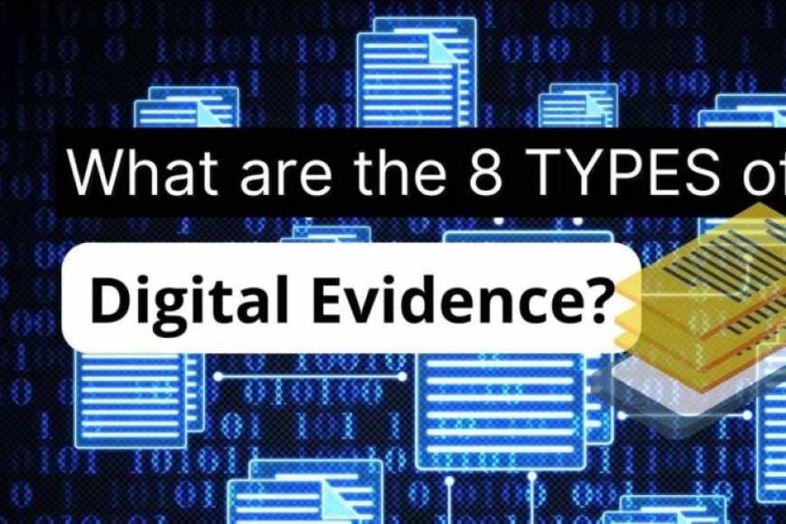 न्यायिक-प्रक्रिया-में-पारदर्शिता-और-दक्षता-को-सुनिश्चित-कर-रहे-डिजिटल-साक्ष्य