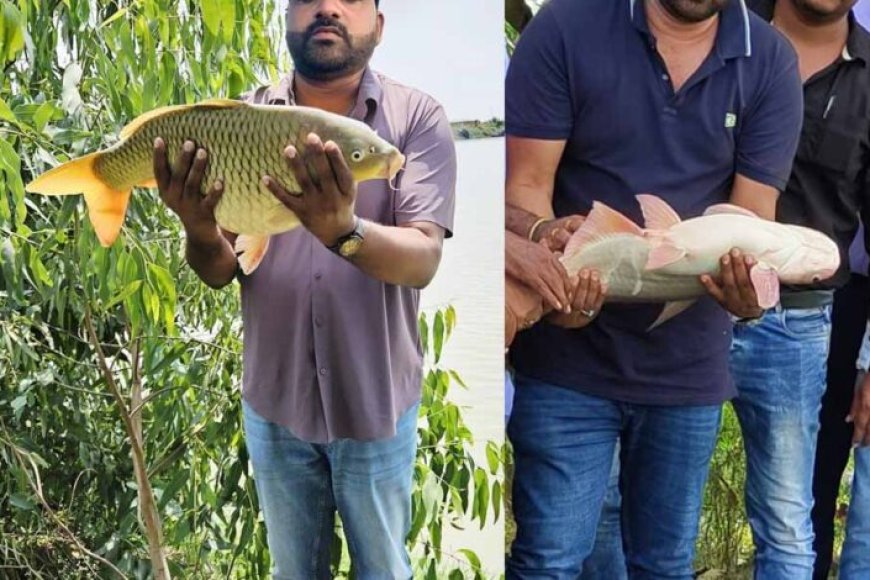 डबल-इंजन-सरकार-का-साथ,-असलम-की-सफलता-ने-चूम-लिया-‘आकाश’