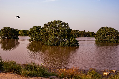 rs-2.3+-crore-raised-on-impact-guru-to-help-punjab’s-flood-survivors-rebuild-their-lives