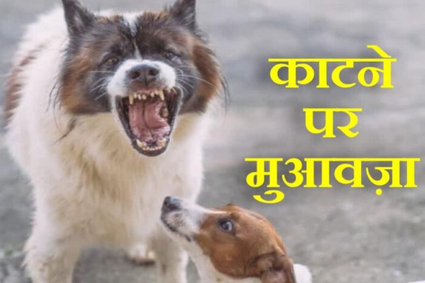 कर्नाटक-सरकार-का-बड़ा-फैसला:-कुत्ते-के-काटने-से-मौत-पर-परिवार-को-5-लाख,-चोट-निशान-पर-5-हजार-रुपये-मुआवजा