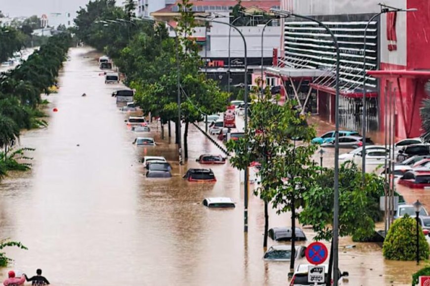 वियतनाम-में-बाढ़-का-कहर:-67,700-से-अधिक-घर-डूबे,-अनाज-और-पशुओं-पर-भी-संकट