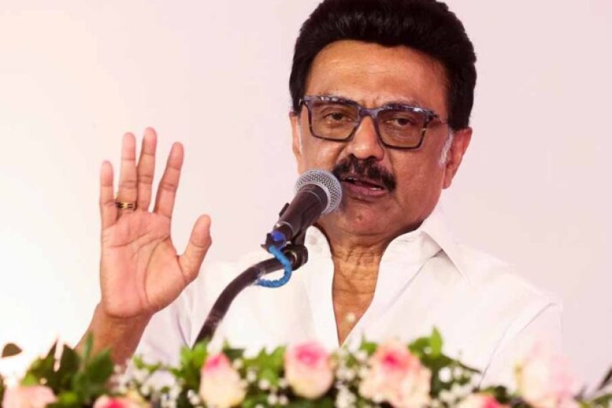 सुप्रीम-कोर्ट-के-फैसले-पर-बोले-स्टालिन:-अब-एक-बात-पूरी-तरह-साबित-हो-गई