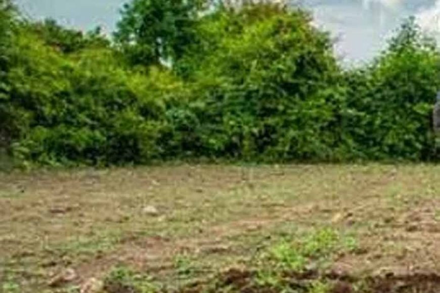 कार्रवाई-में-बड़ा-उलटफेर:-गैंगस्टर-की-जगह-किसान-की-जमीन-पर-कुर्की,-पत्नी-का-मकान-भी-सील