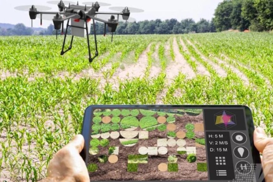 एआई-के-माध्यम-से-कृषि-क्षेत्र-में-बड़ी-क्रांति-की-ओर-उत्तर-प्रदेश