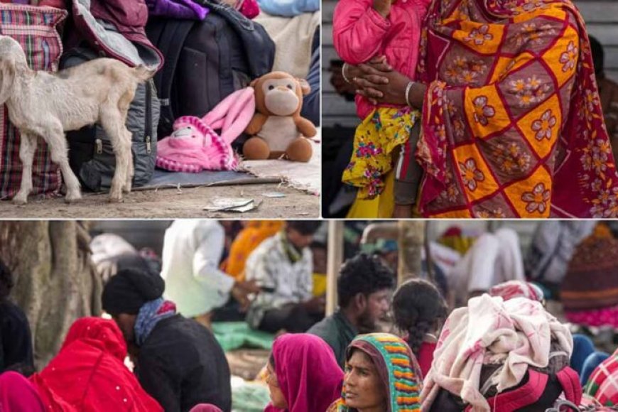 हाकिमपुर-बॉर्डर-पर-हड़कंप:-अवैध-बांग्लादेशियों-का-चौंकाने-वाला-कबूलनामा—‘बंगाल-में-चार-बार-दिया-वोट’