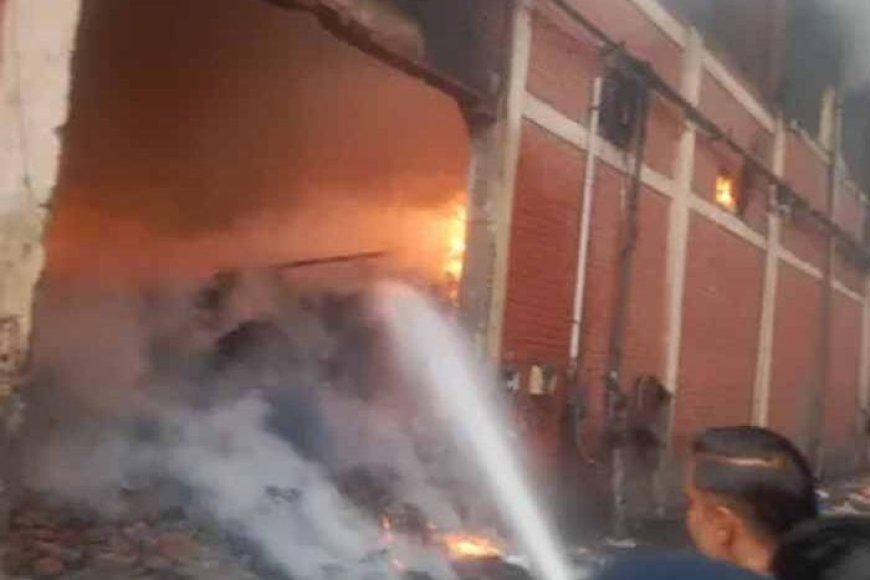 कनाडा-के-ब्रैम्पटन-में-भीषण-आग:-तीन-पंजाबी-युवकों-की-मौत,-गर्भवती-सहित-चार-गंभीर