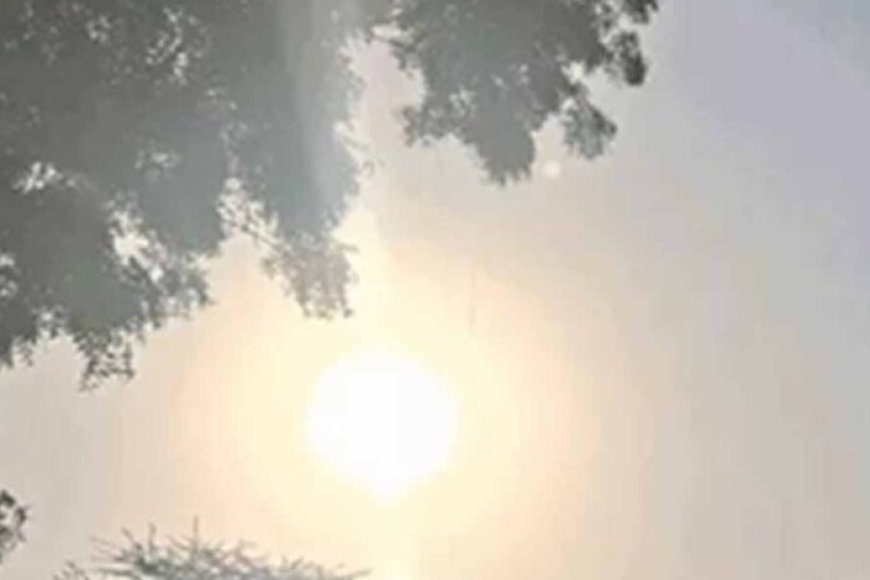 मुरादाबाद-में-बढ़ी-सर्दी:-न्यूनतम-तापमान-10-डिग्री,-कोहरा-छाया