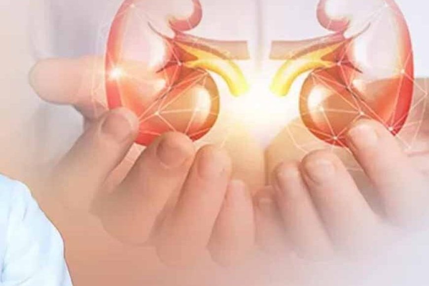 मां-का-ममता-का-चमत्कार:-सफदरजंग-अस्पताल-में-11-साल-के-बच्चे-का-देश-का-पहला-किडनी-ट्रांसप्लांट-सफल