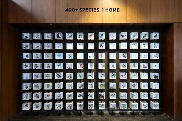 shapoorji-pallonji-real-estate-unveils-the-&apos;coexistence-with-flora-&-fauna&apos;-mural-at-vanaha,-pune