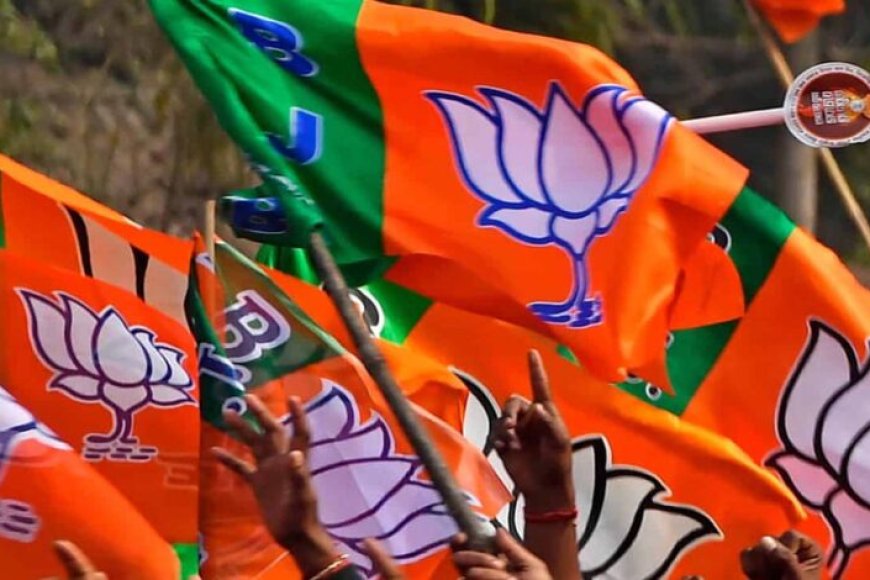 मालवा-में-बीजेपी-की-नई-पीढ़ी-ने-संभाली-कमान,-विजयवर्गीय-के-बयान-ने-बढ़ाए-‘ताई-भाई’-युग-खत्म-होने-के-सवाल