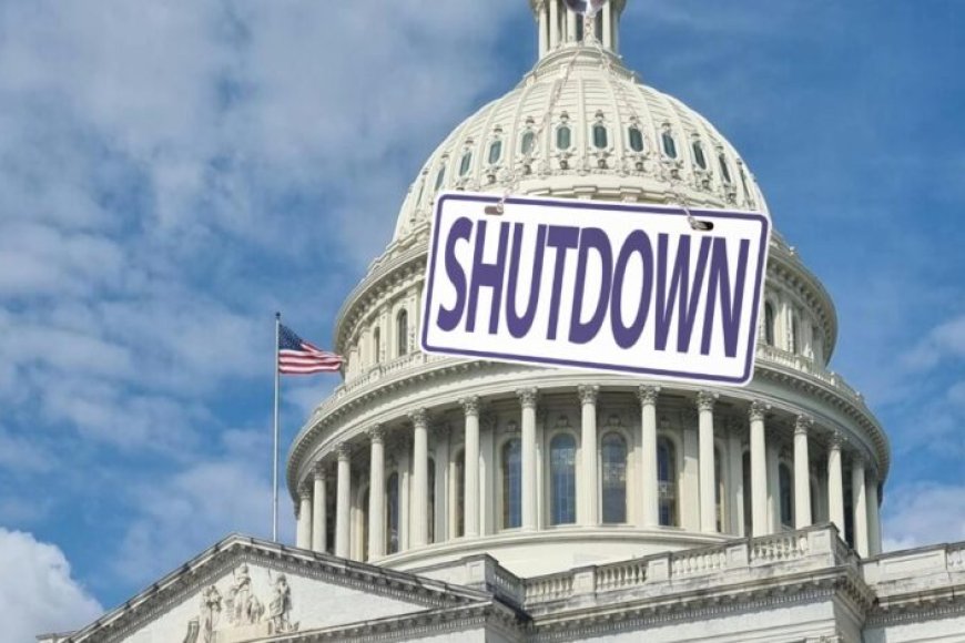 us-शटडाउन-का-असर:-3300-उड़ानें-रद्द,-स्टाफ-छुट्टी-पर,-यात्रियों-में-हाहाकार