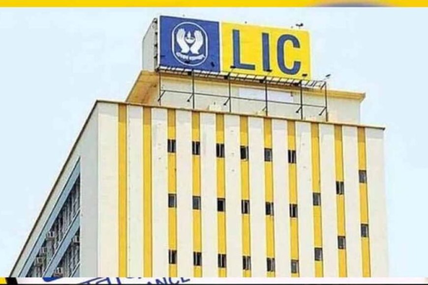 lic-ने-कमाया-10,000-करोड़-का-मुनाफा,-जानिए-कहां-कहां-निवेश-करती-है-प्रीमियम-राशि