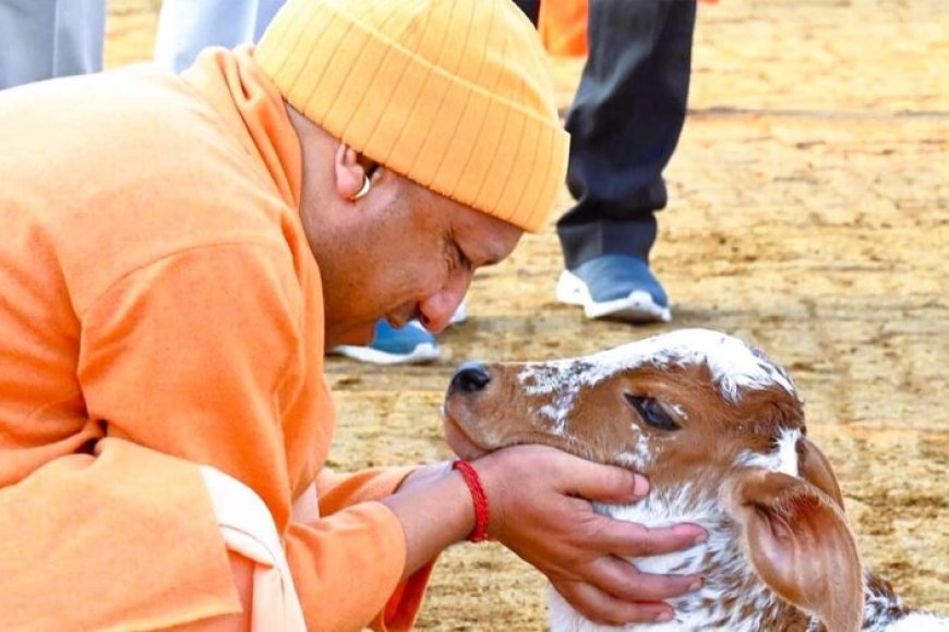 विशेष-आर्टिकल-नंद-बाबा-दुग्ध-मिशन:-उत्तर-प्रदेश-में-डेयरी-क्रांति-का-नया-अध्याय-–-किसानों-की-आय-दोगुनी-से-आत्मनिर्भर-ग्रामीण-अर्थव्यवस्था-तक