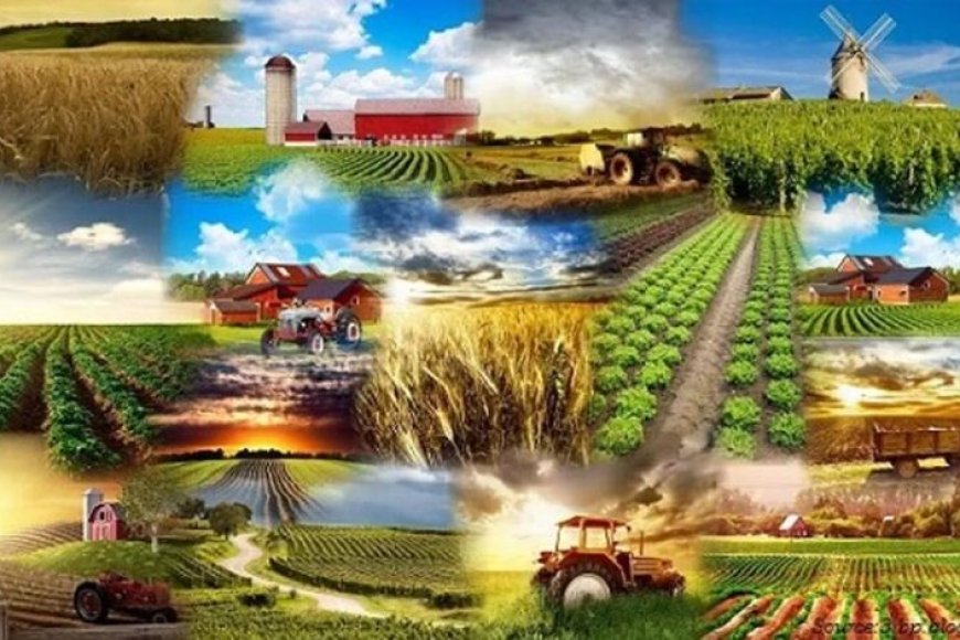 विशेष-आर्टिकल-उत्तर-प्रदेश-में-कृषि-क्षेत्र-का-स्वर्णिम-उत्थान:-योगी-सरकार-की-उपलब्धियां-और-किसानों-की-प्रेरक-सफलता-कहानियां