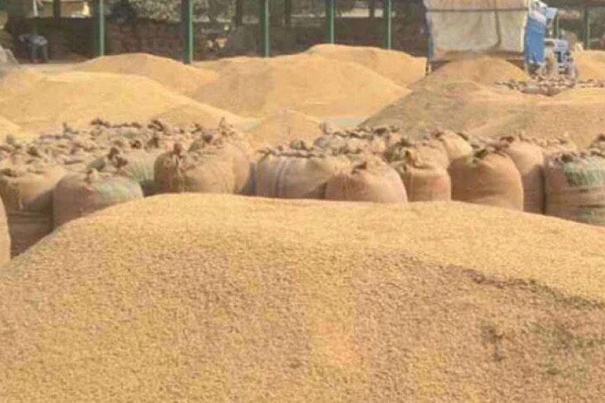 2.43-लाख-मीट्रिक-टन-से-अधिक-की-हो-चुकी-धान-खरीद