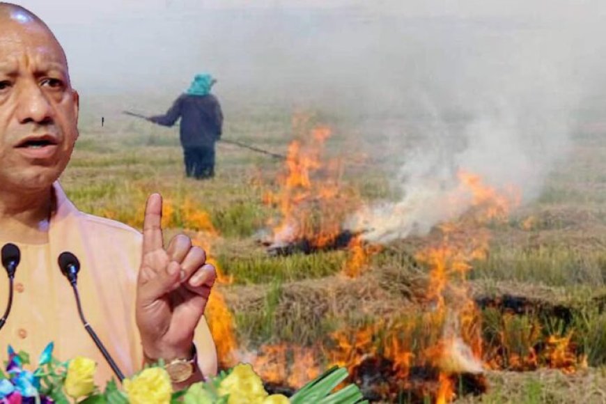 मुख्यमंत्री-योगी-के-सख्त-निर्देशों-का-असर,-उत्तर-प्रदेश-में-पराली-जलाने-की-घटनाओं-में-आई-उल्लेखनीय-कमी