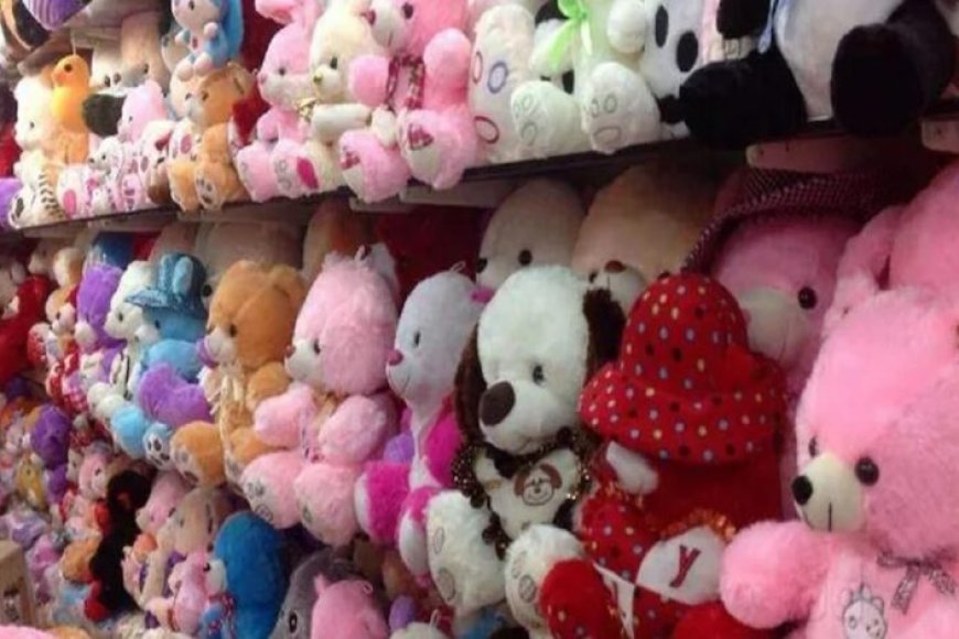 झांसी-की-वंदना-के-सपनों-को-ओडीओपी-ने-लगाए-पंख,-आईआईटीएफ-में-सॉफ्ट-टॉयज-की-लगाएंगी-प्रदर्शनी