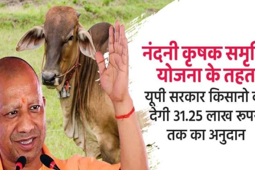 विशेष-आर्टिकल-नंदिनी-कृषक-समृद्धि-योजना:-योगी-सरकार-का-डेयरी-सशक्तिकरण-मॉडल-–-लाभों-का-विस्तृत-विश्लेषण
