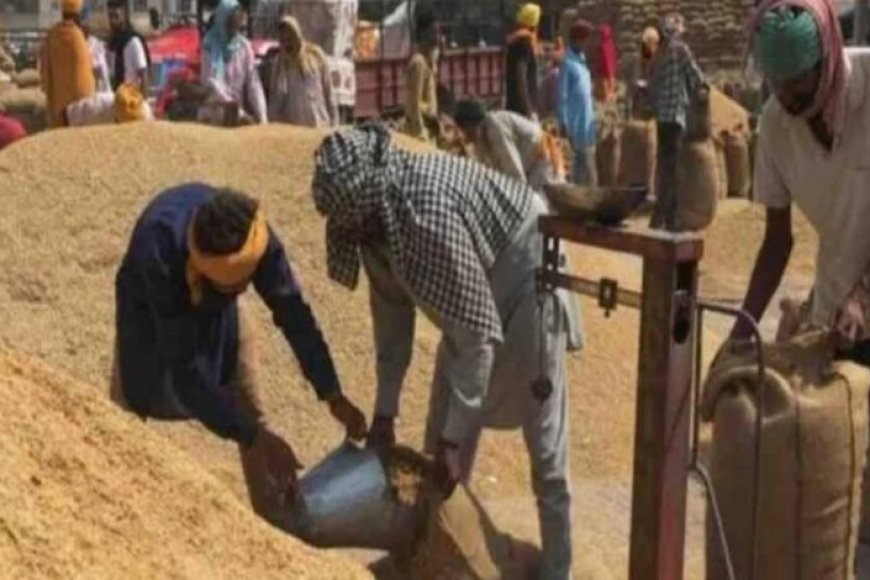 यूपी-में-धान-खरीद-को-निरंतर-मिल-रहा-किसानों-का-साथ