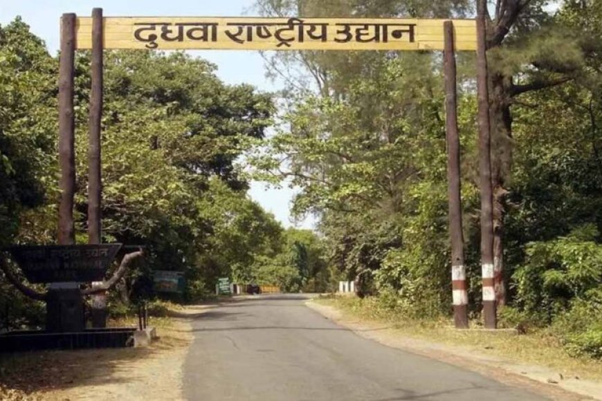 सीएम-योगी-के-मार्गदर्शन-में-दुधवा-नेशनल-पार्क-को-ईको-टूरिज्म-का-हब-बनाने-के-कई-प्रस्ताव-पेश