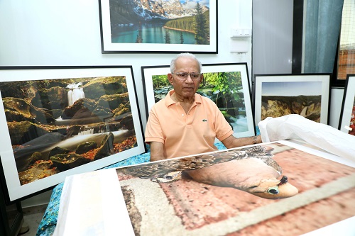 wildlife-photography-in-the-age-of-ai:-prakash-desai's-journey-of-patience,-purity-and-passion